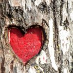 Red heart carved into a tree. The Most Romantic Boroughs in London